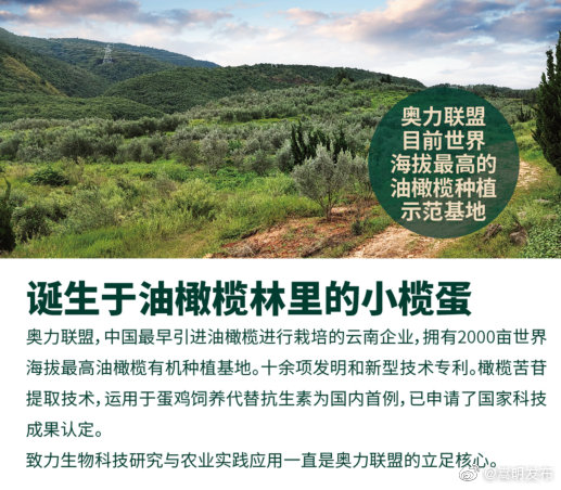 “嵩明发布”微博