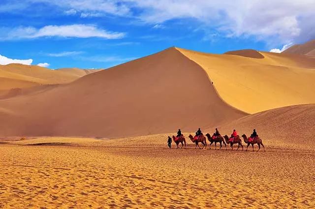 昆明市图书馆(微信)