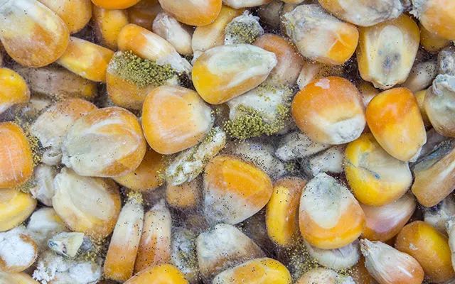 云南疾控(微信)