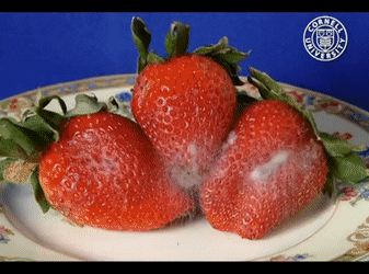 云南疾控(微信)