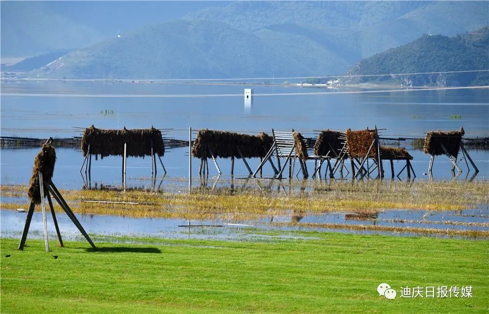 迪庆日报传媒(微信)