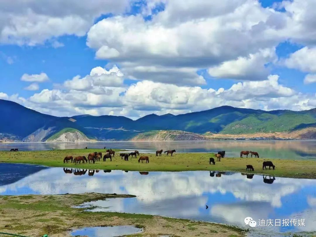 迪庆日报传媒(微信)