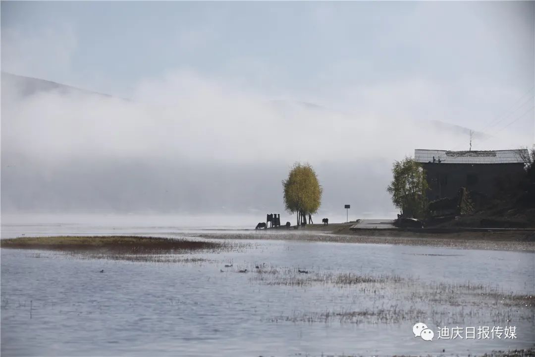 迪庆日报传媒(微信)