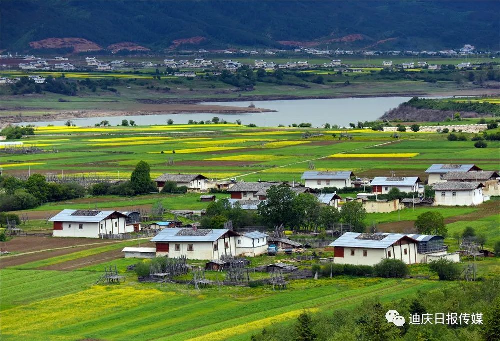 迪庆日报传媒(微信)