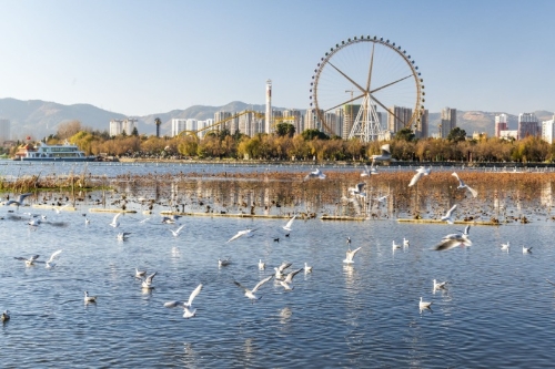 昆明市文化和旅游局