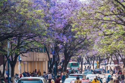 昆明市文化和旅游局