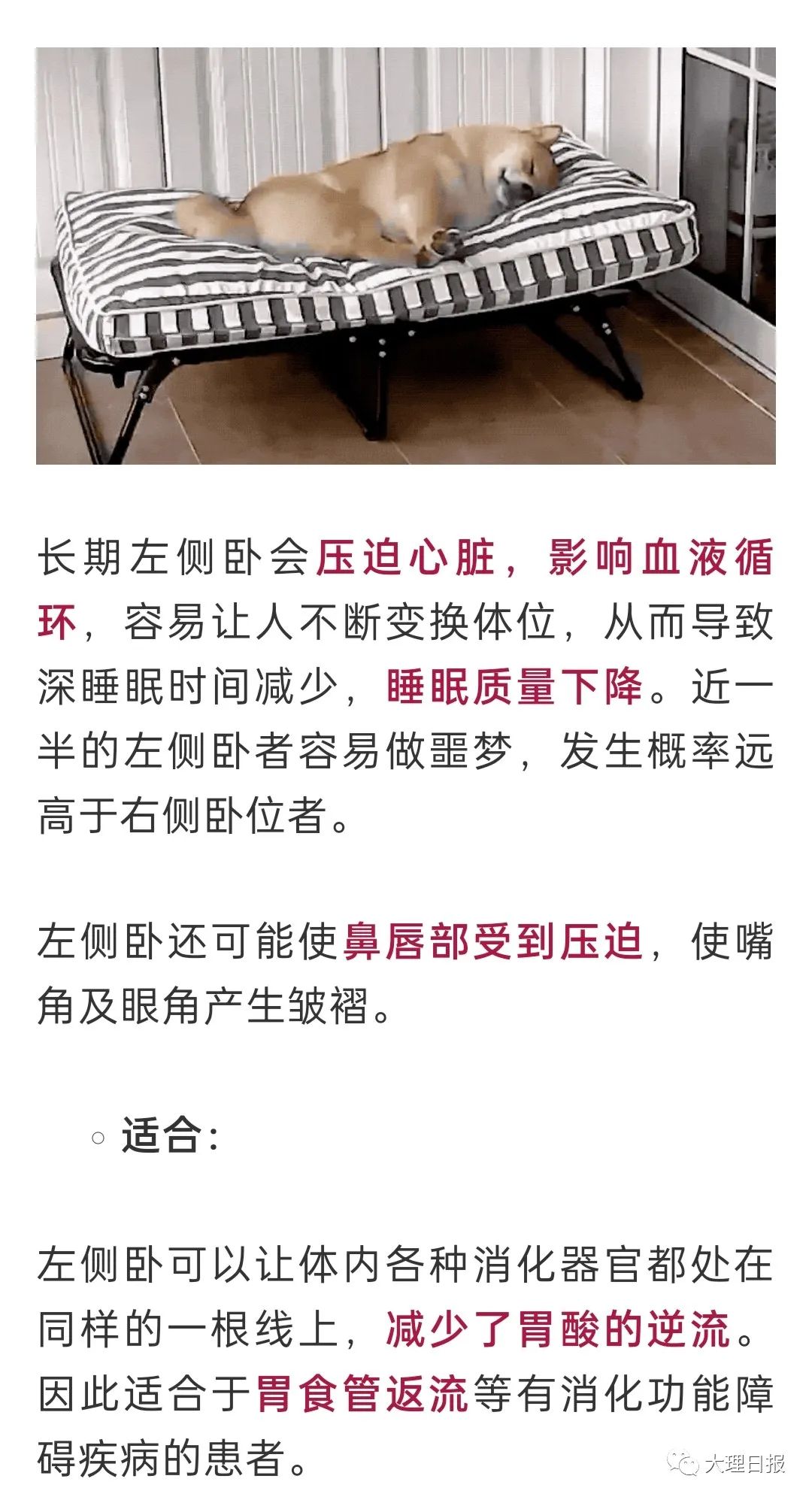 大理日报(微信)