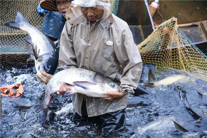 红河文旅(微信)