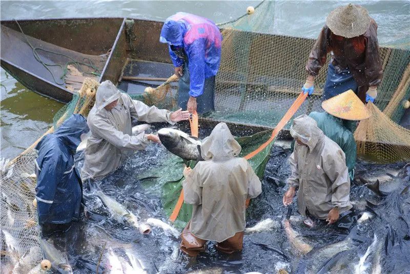 红河文旅(微信)