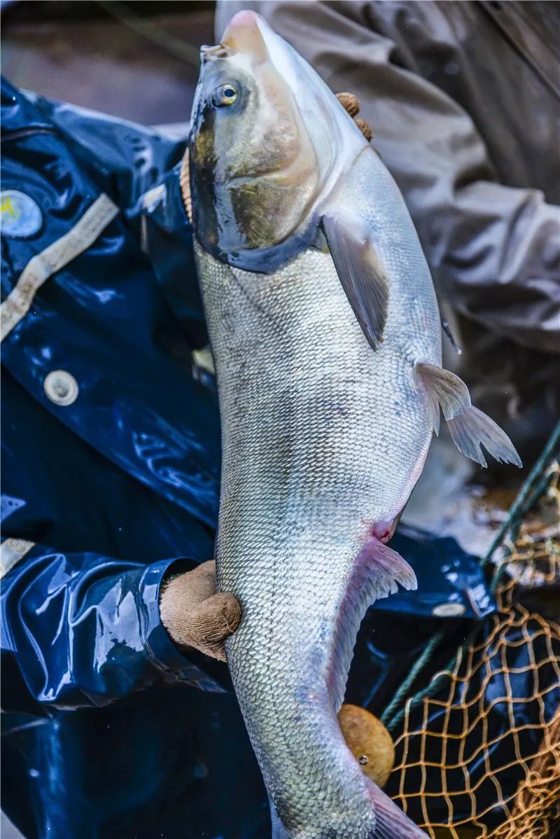 红河文旅(微信)