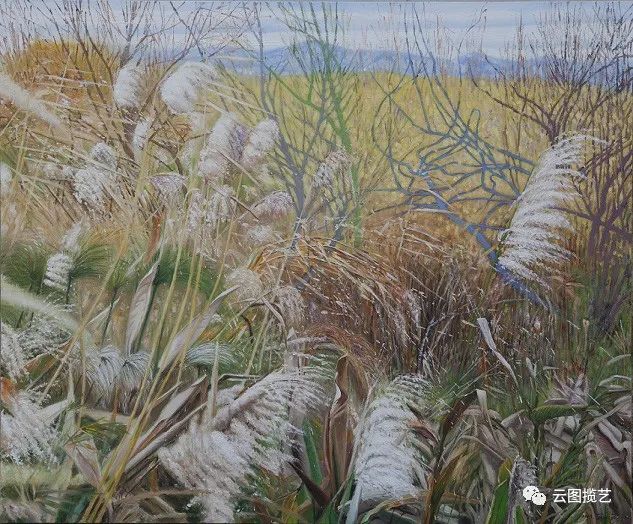 云南省图书馆(微信)