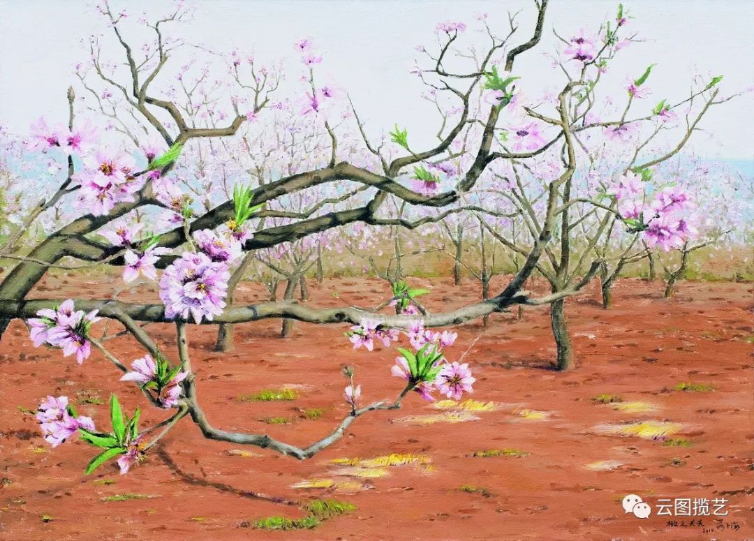 云南省图书馆(微信)