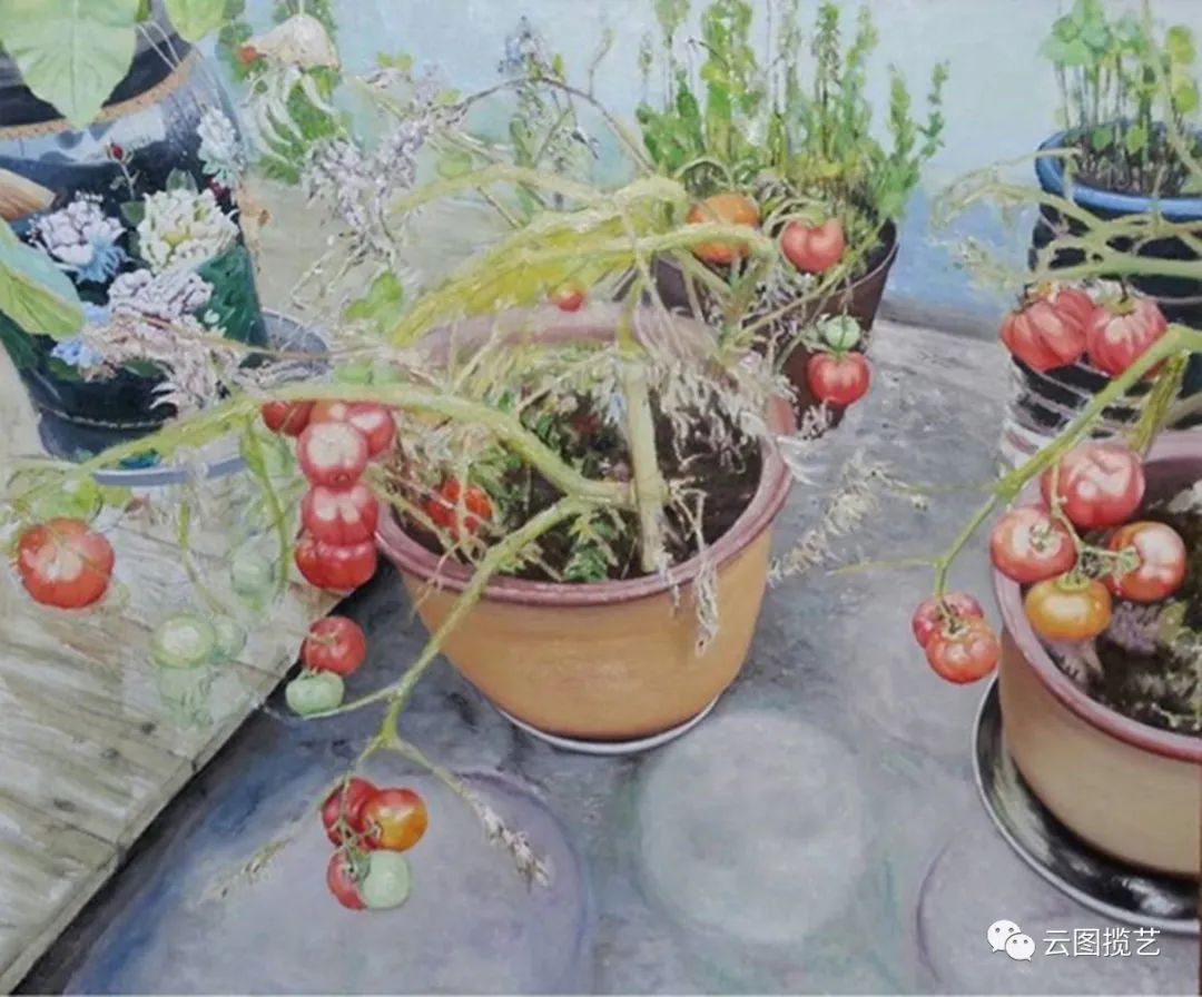 云南省图书馆(微信)