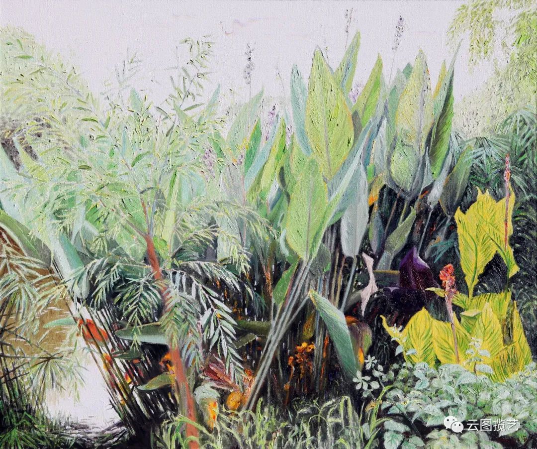 云南省图书馆(微信)