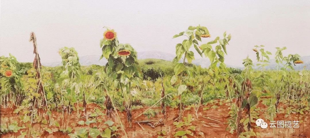 云南省图书馆(微信)