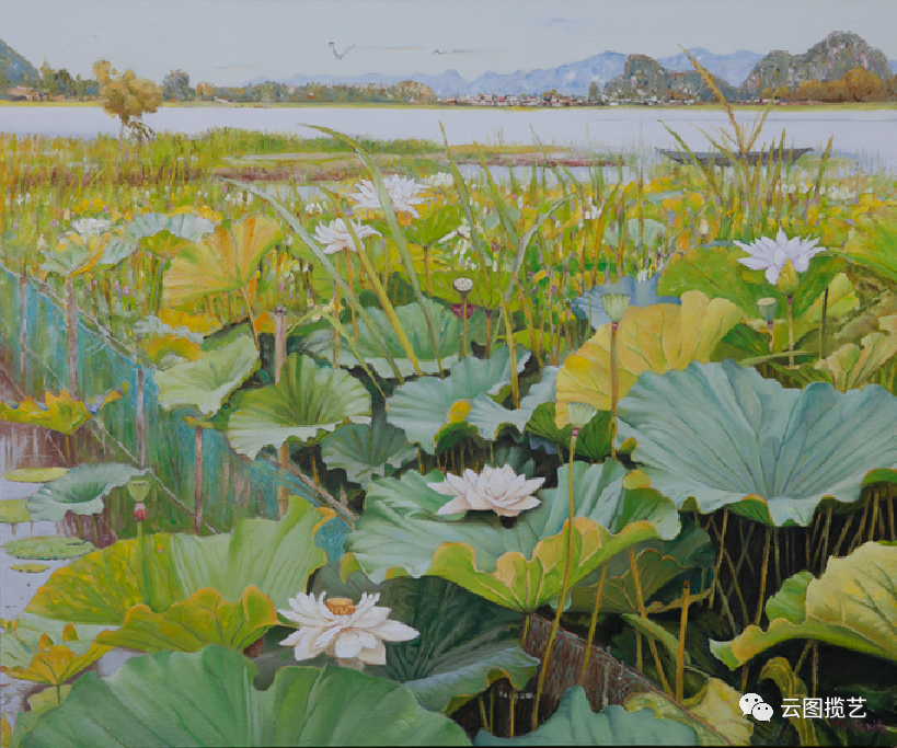 云南省图书馆(微信)