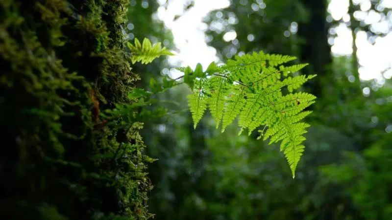 云南楚雄网(微信)