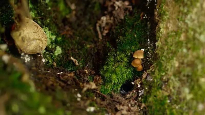 云南楚雄网(微信)