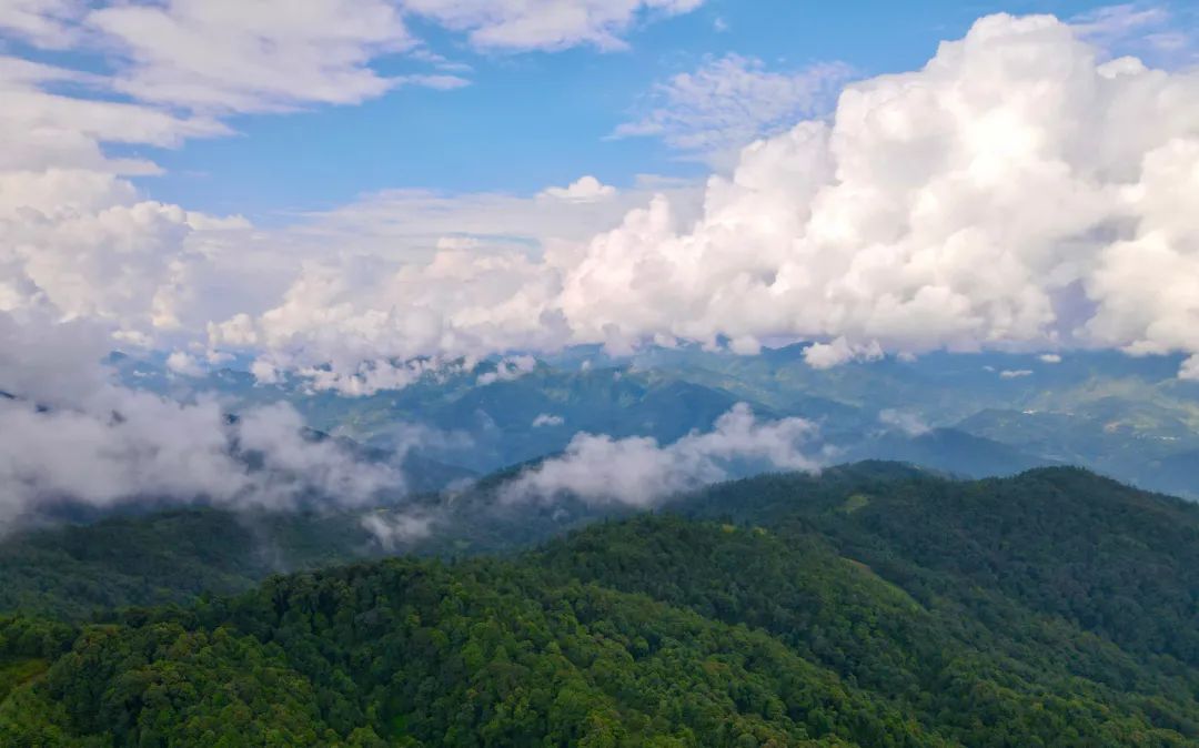 云南楚雄网(微信)