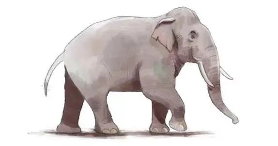 昆明铁路(微信)