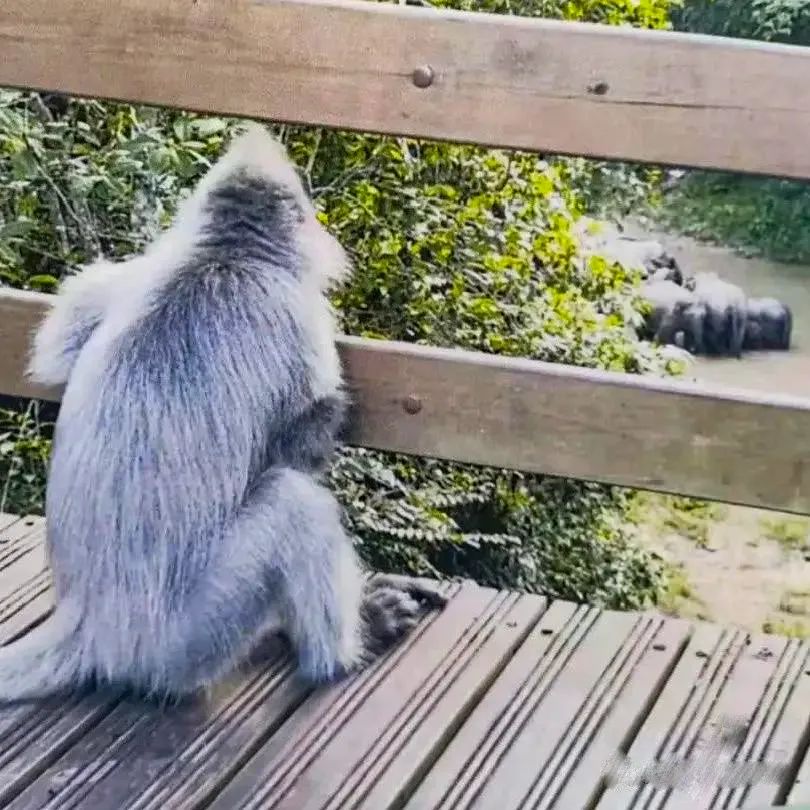 昆明铁路(微信)