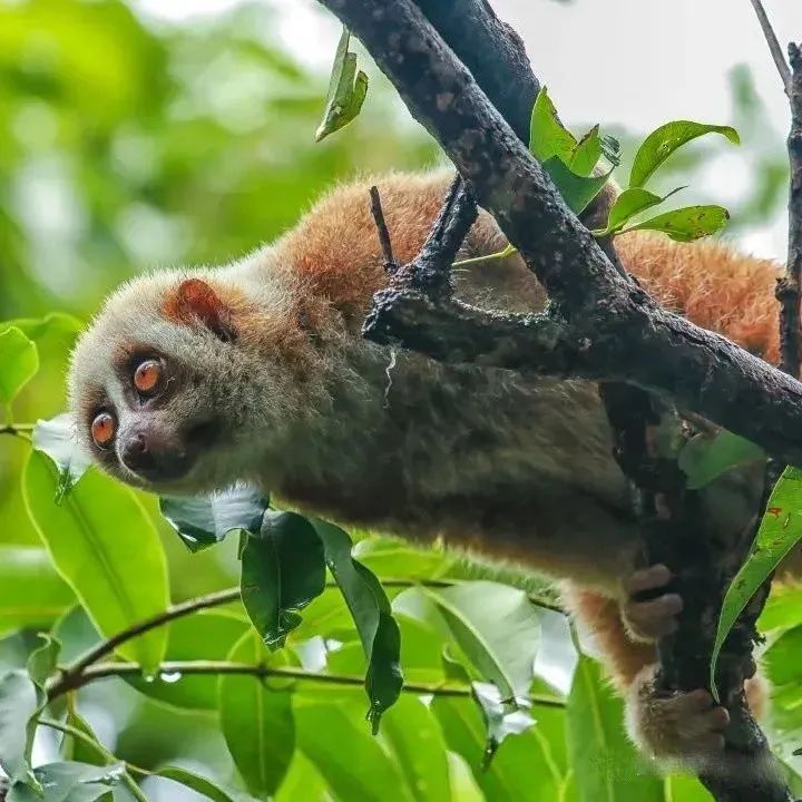 昆明铁路(微信)