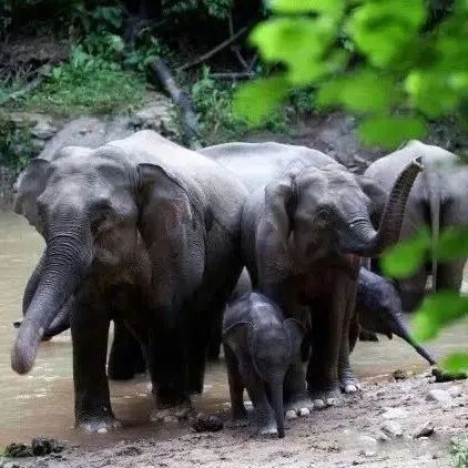 昆明铁路(微信)