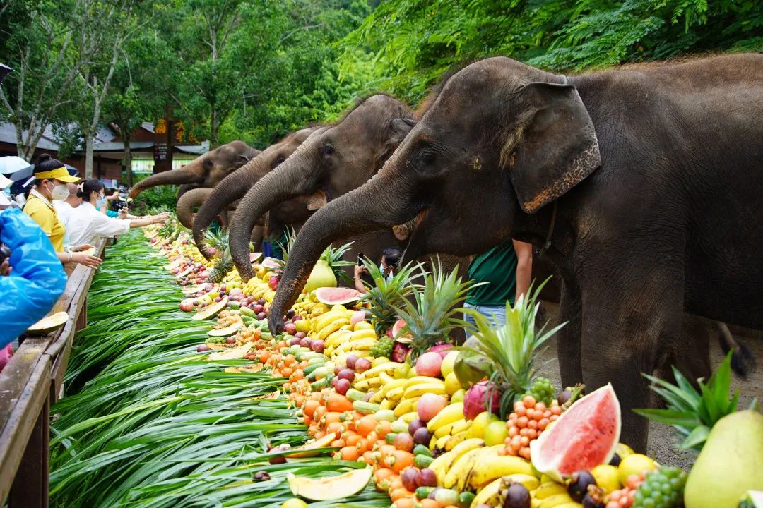 昆明铁路(微信)