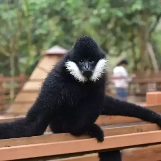 昆明铁路(微信)