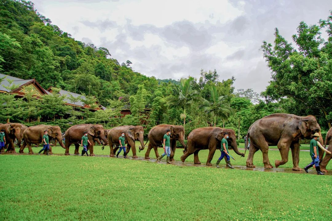 昆明铁路(微信)