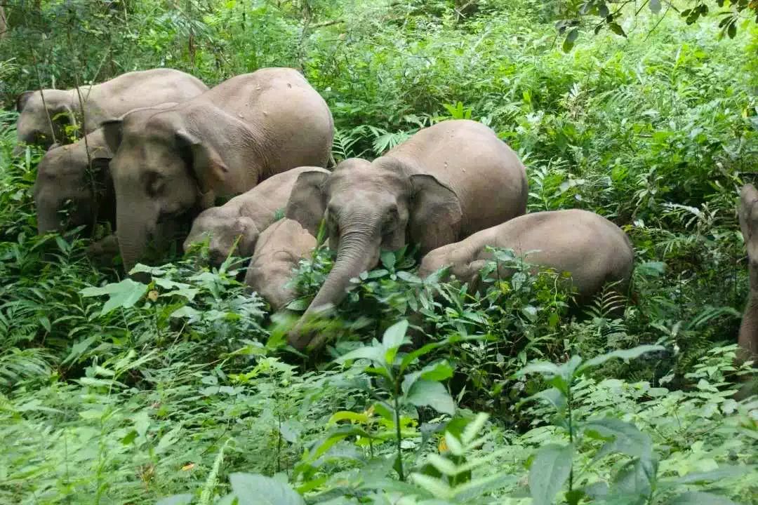 昆明铁路(微信)