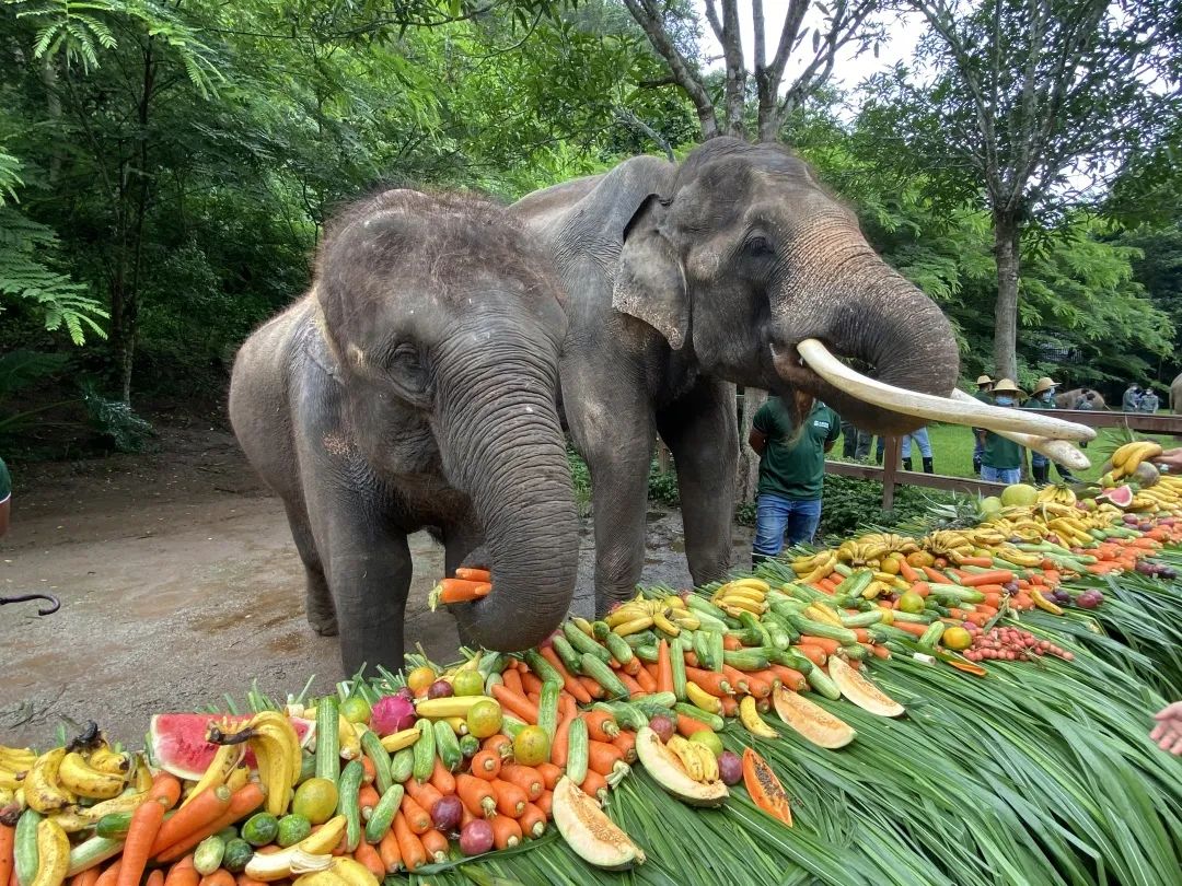 昆明铁路(微信)
