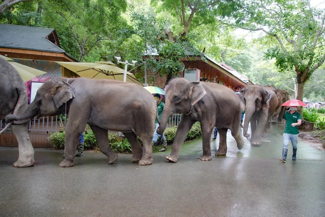昆明铁路(微信)