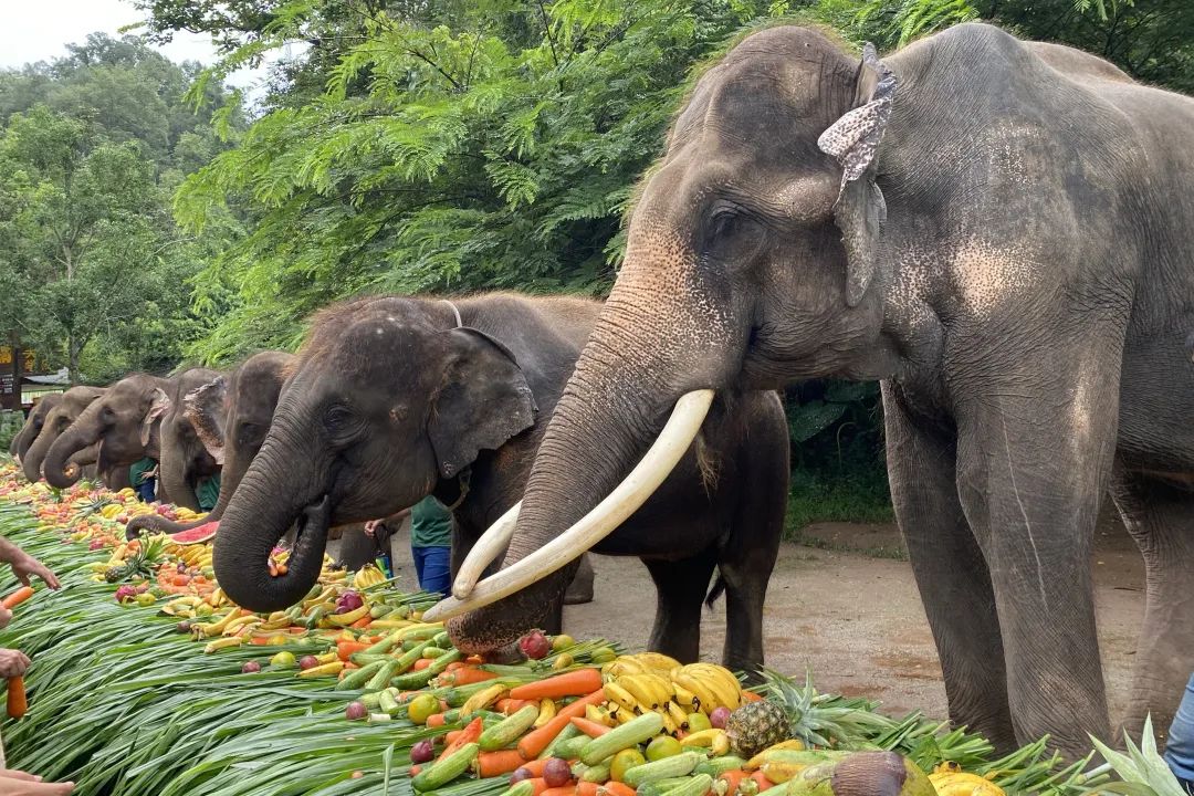 昆明铁路(微信)