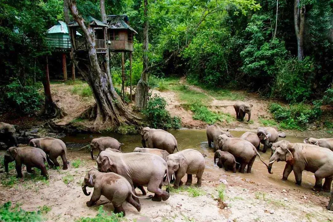 昆明铁路(微信)