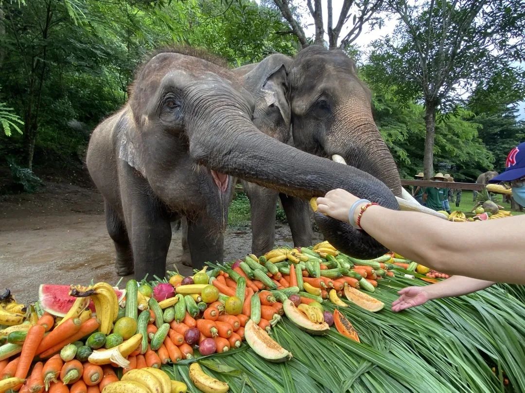 昆明铁路(微信)