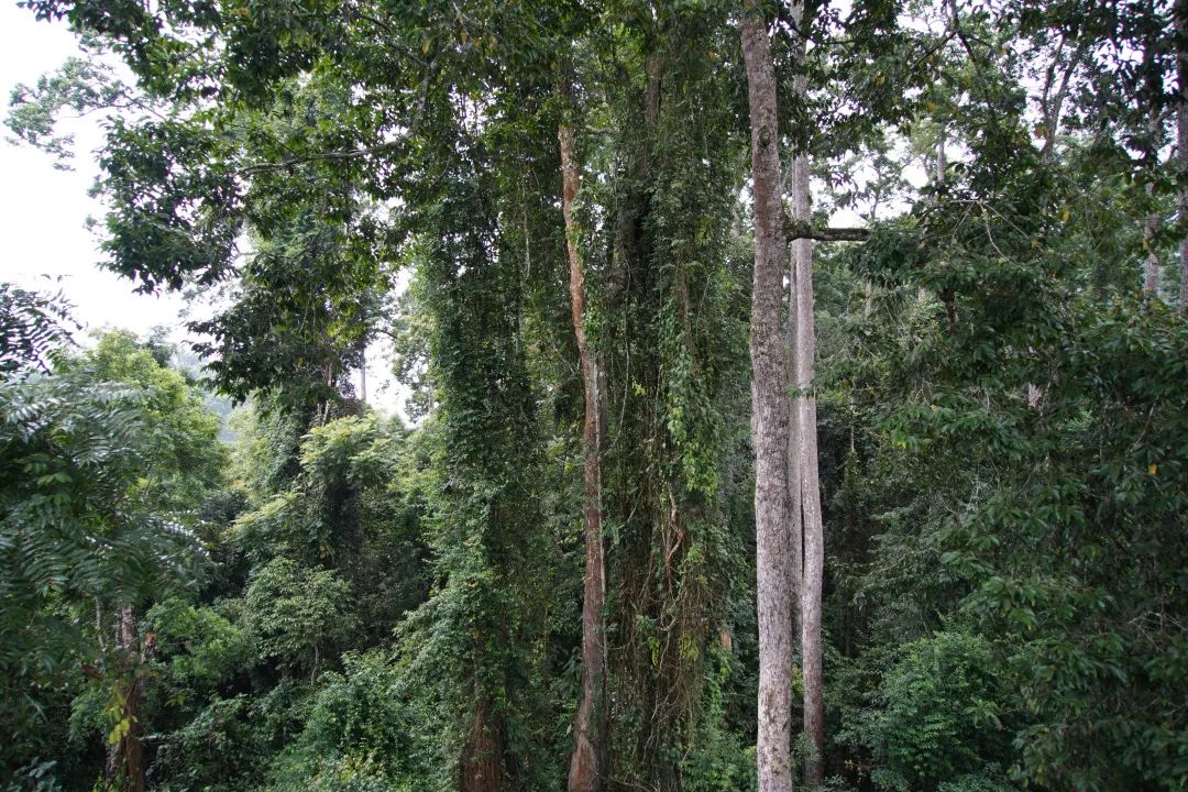 昆明铁路(微信)