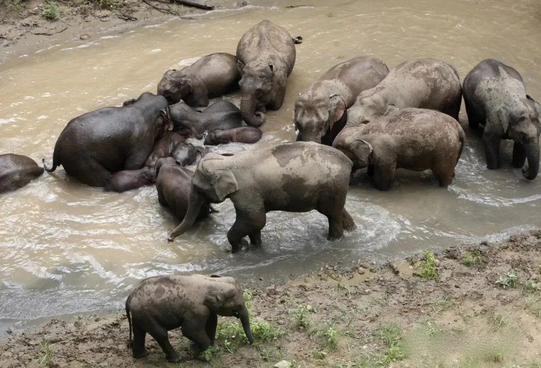 昆明铁路(微信)