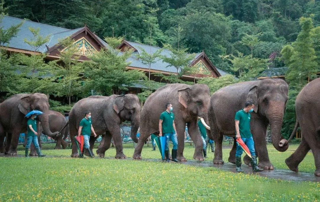昆明铁路(微信)
