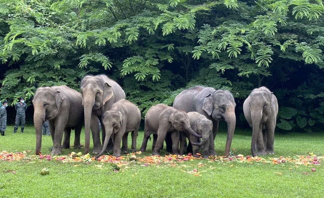 昆明铁路(微信)