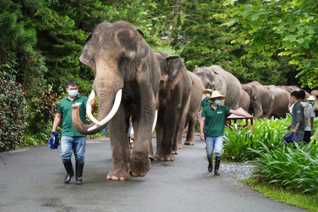 昆明铁路(微信)
