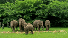 昆明铁路(微信)