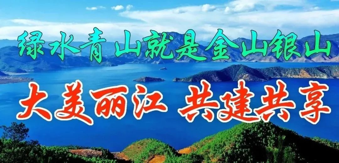 丽江日报(微信)