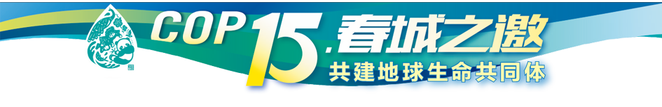 丽江日报(微信)