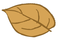 丽江日报(微信)