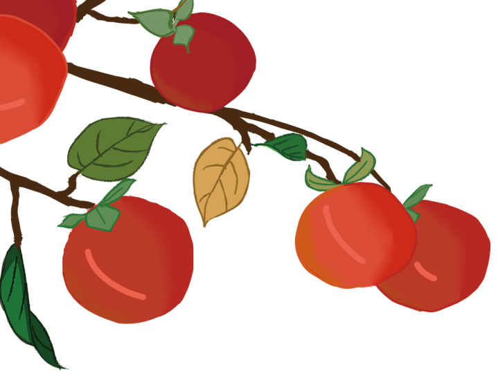 丽江日报(微信)