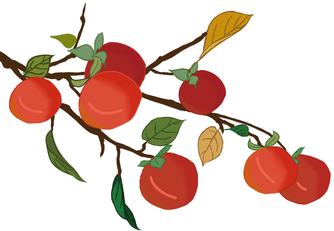 丽江日报(微信)