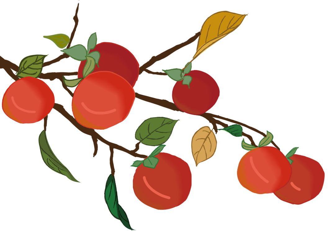 丽江日报(微信)