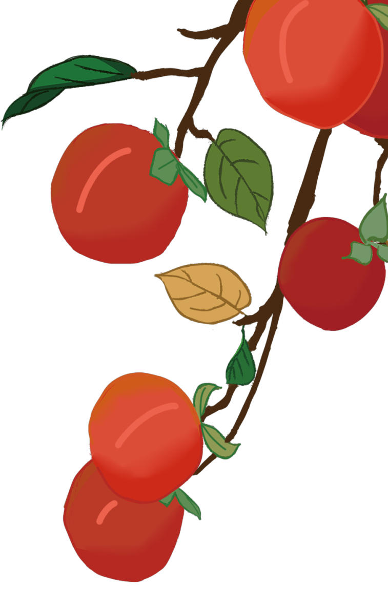 丽江日报(微信)