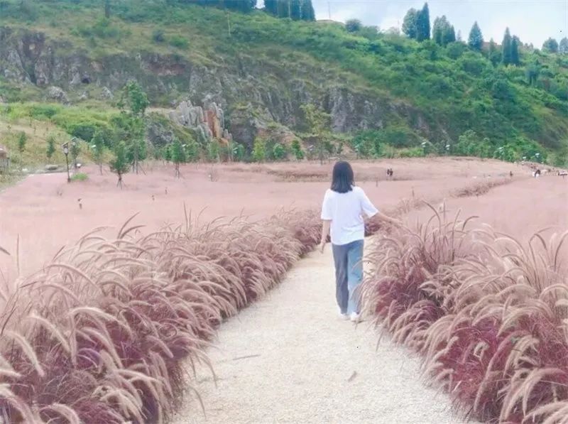 红河文旅(微信)